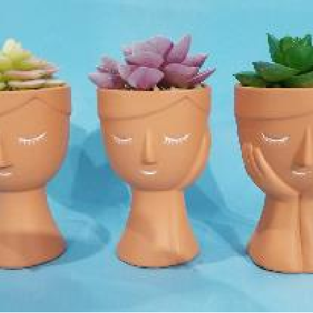 陶瓷多肉花盆带植物32 厂家直销博端32款