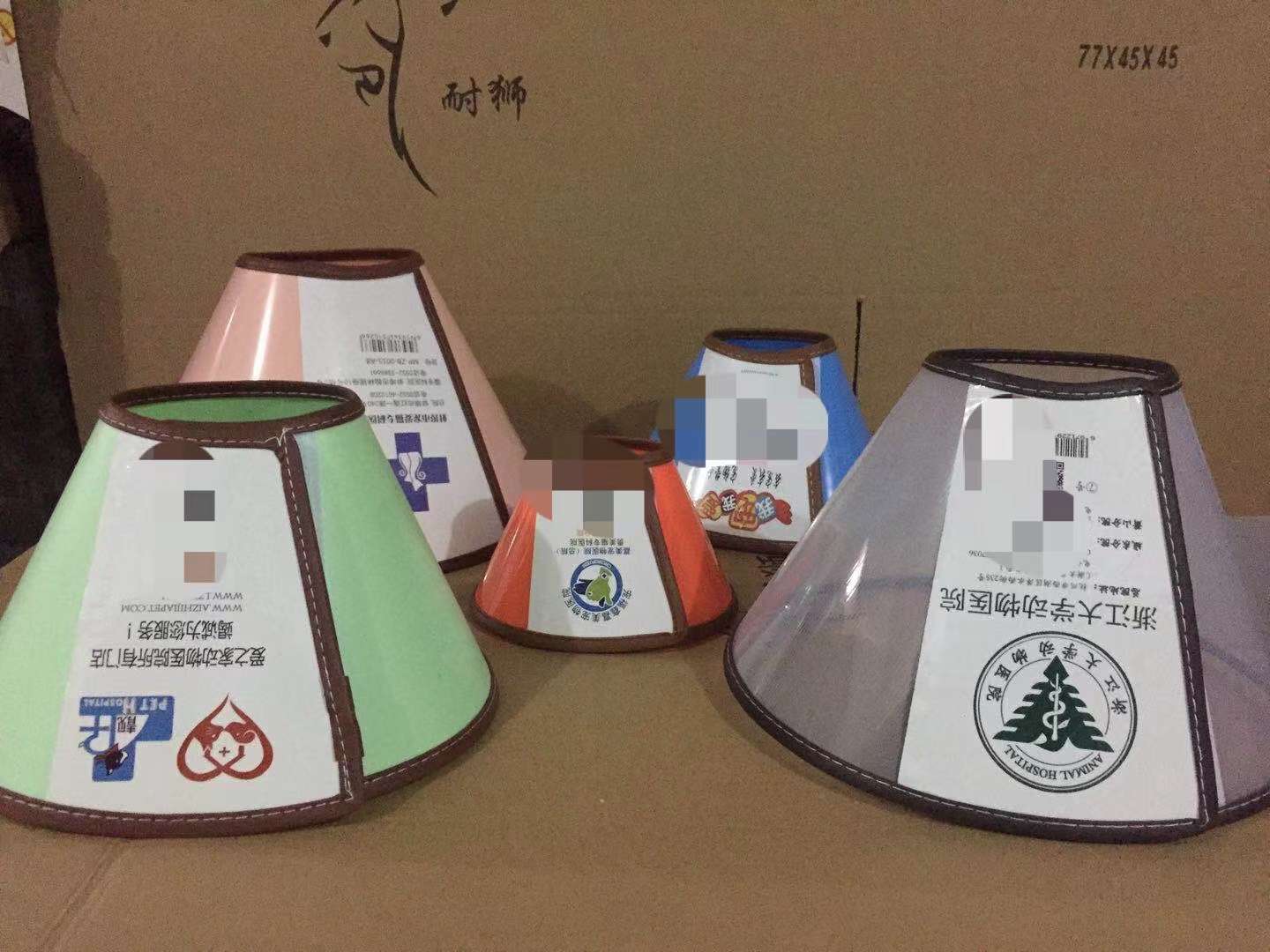 宠物帽子实物图