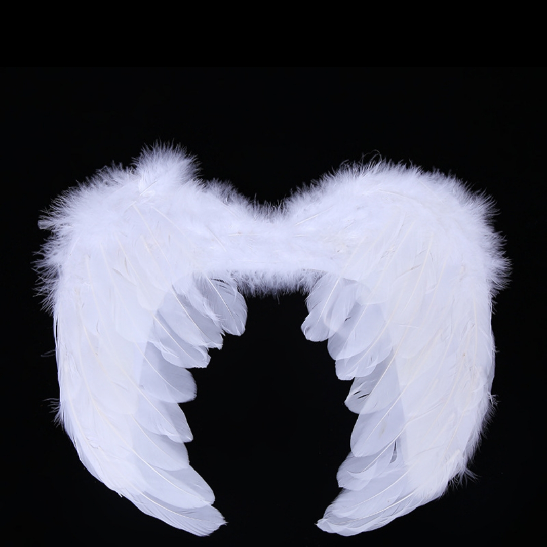 Angel feathers white wings white