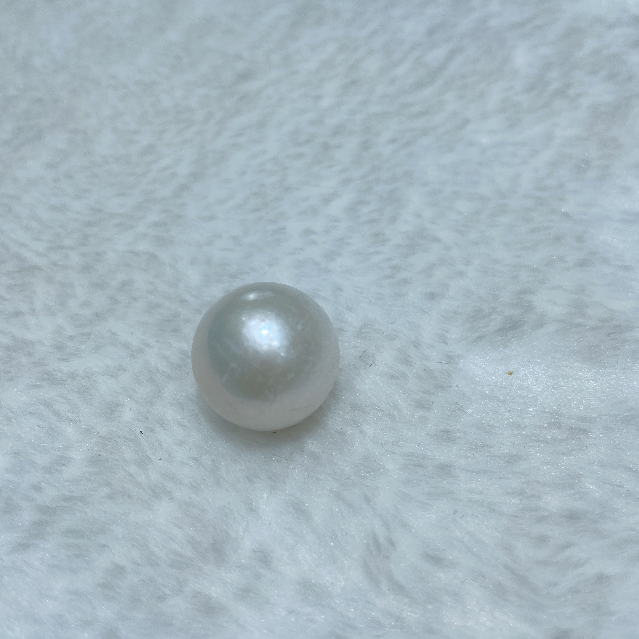 超大天然淡水珍珠17～18mm白底实物图