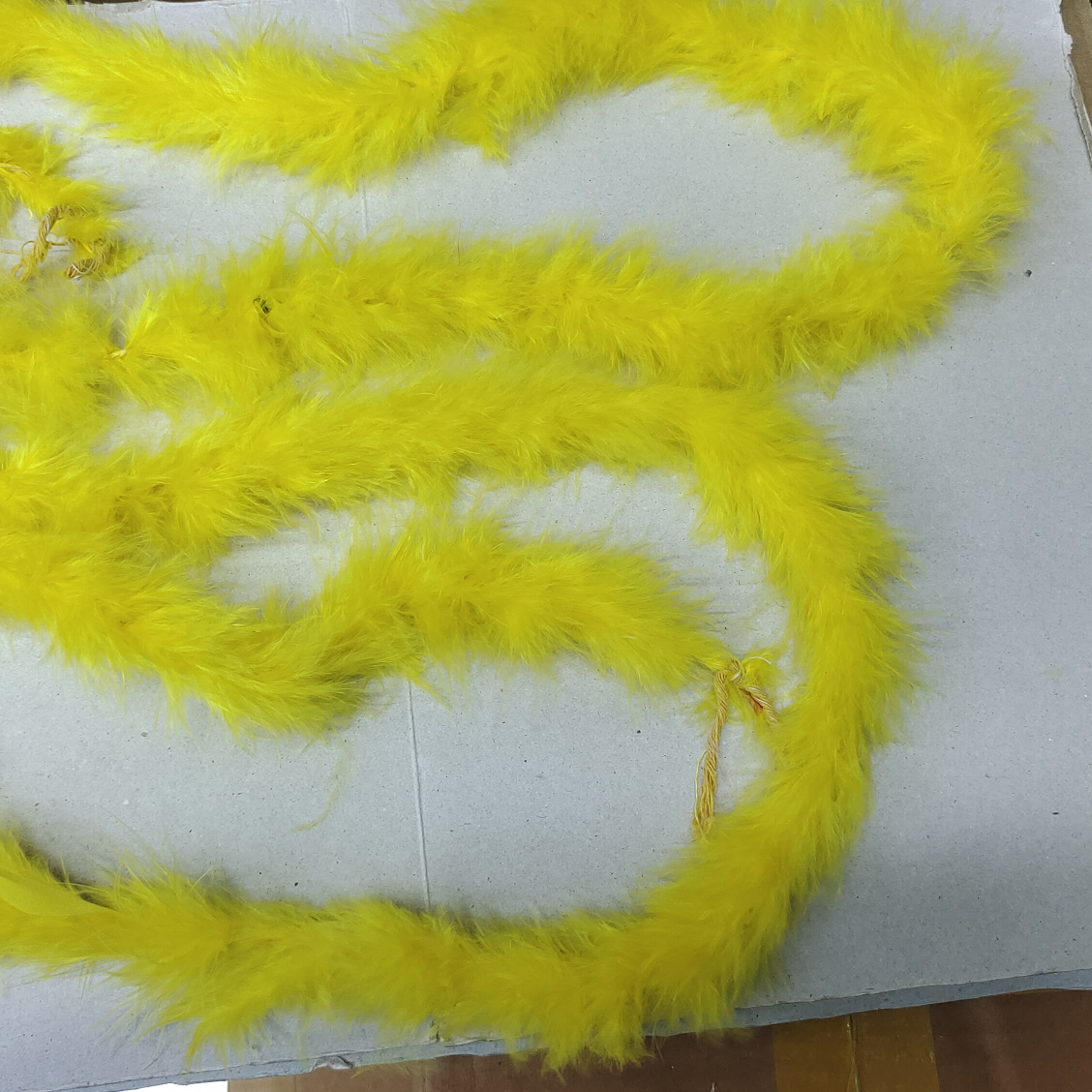 火鸡半绒羽毛条黄色