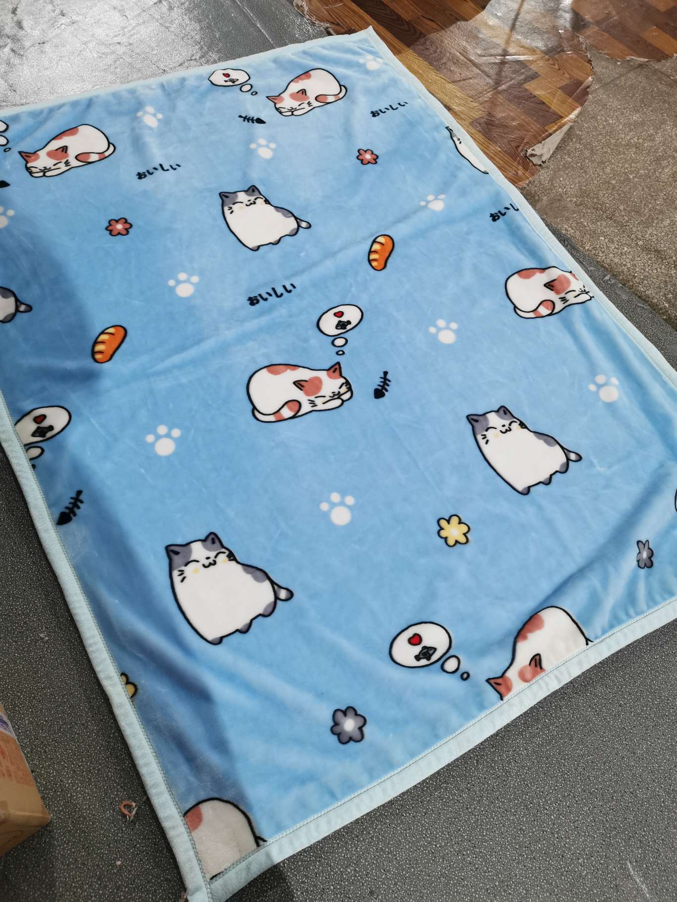 140*190 Single Plush Blanket details Picture
