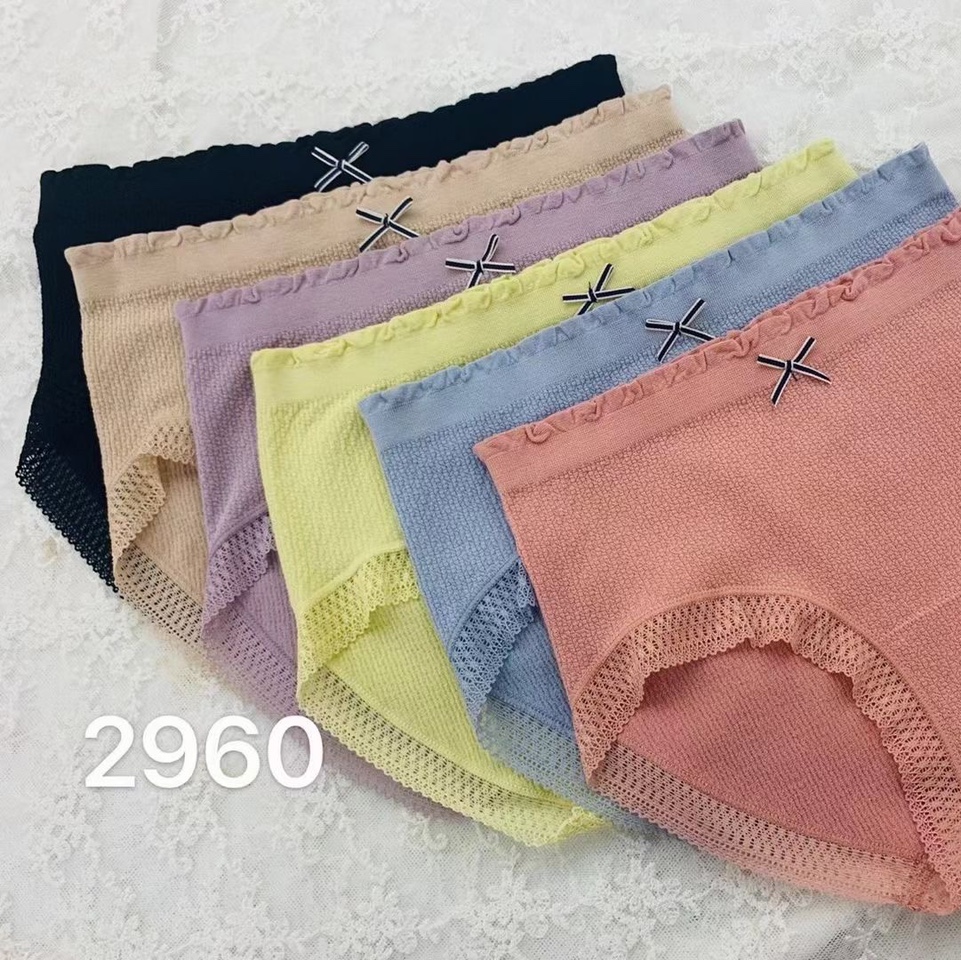 2960 panties for women