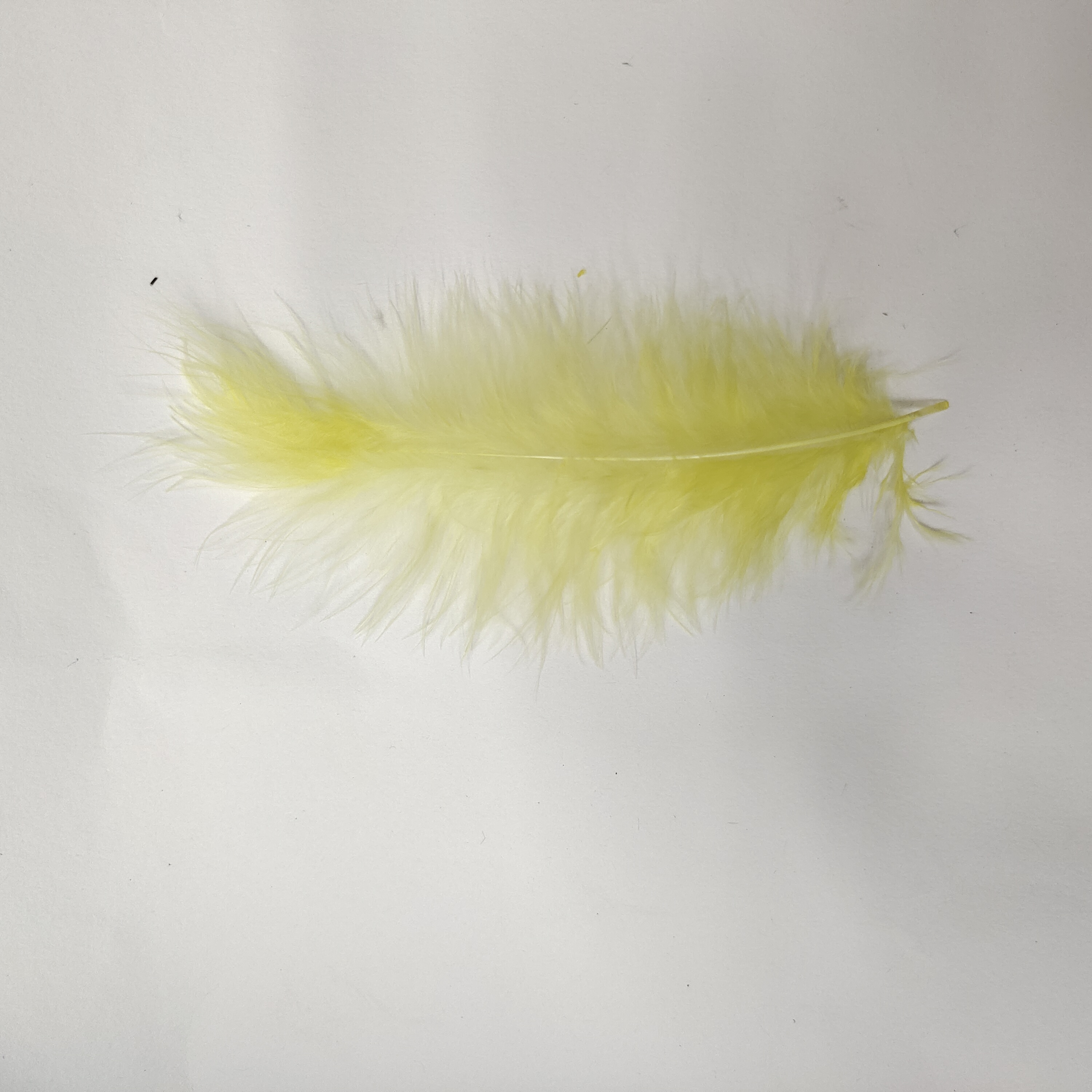 Turkey feathered light yellow