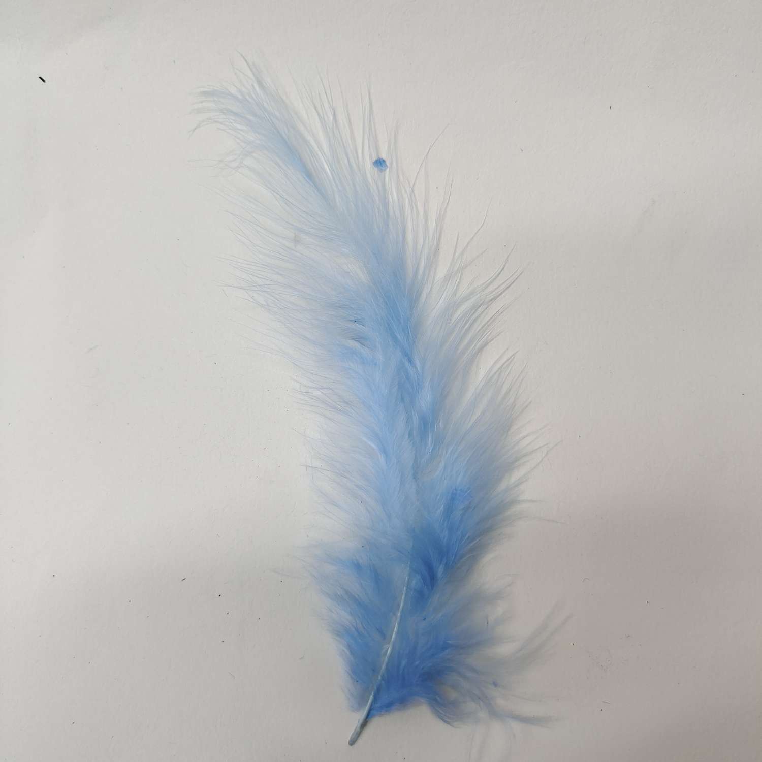 火鸡全绒羽毛浅蓝色产品图