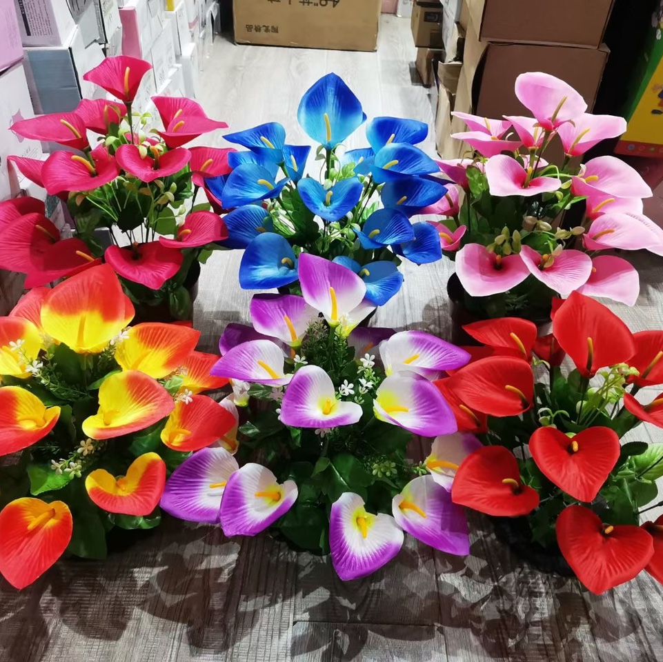 12头毛布马蹄莲适用室内室外，装修，装饰 插花瓶装饰品专用