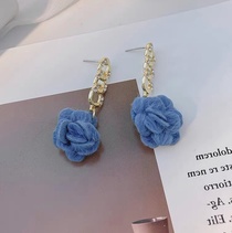 Fashion niche design Hong Kong style sweet temperament star with foreign style earrings