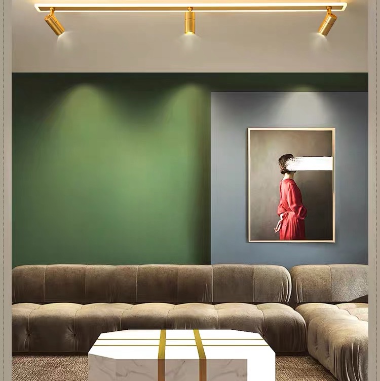 Luminous lighting track light spot light l sky flower light household no main light lighting living room cloakroom suction top bright mounted small spot light thumbnail