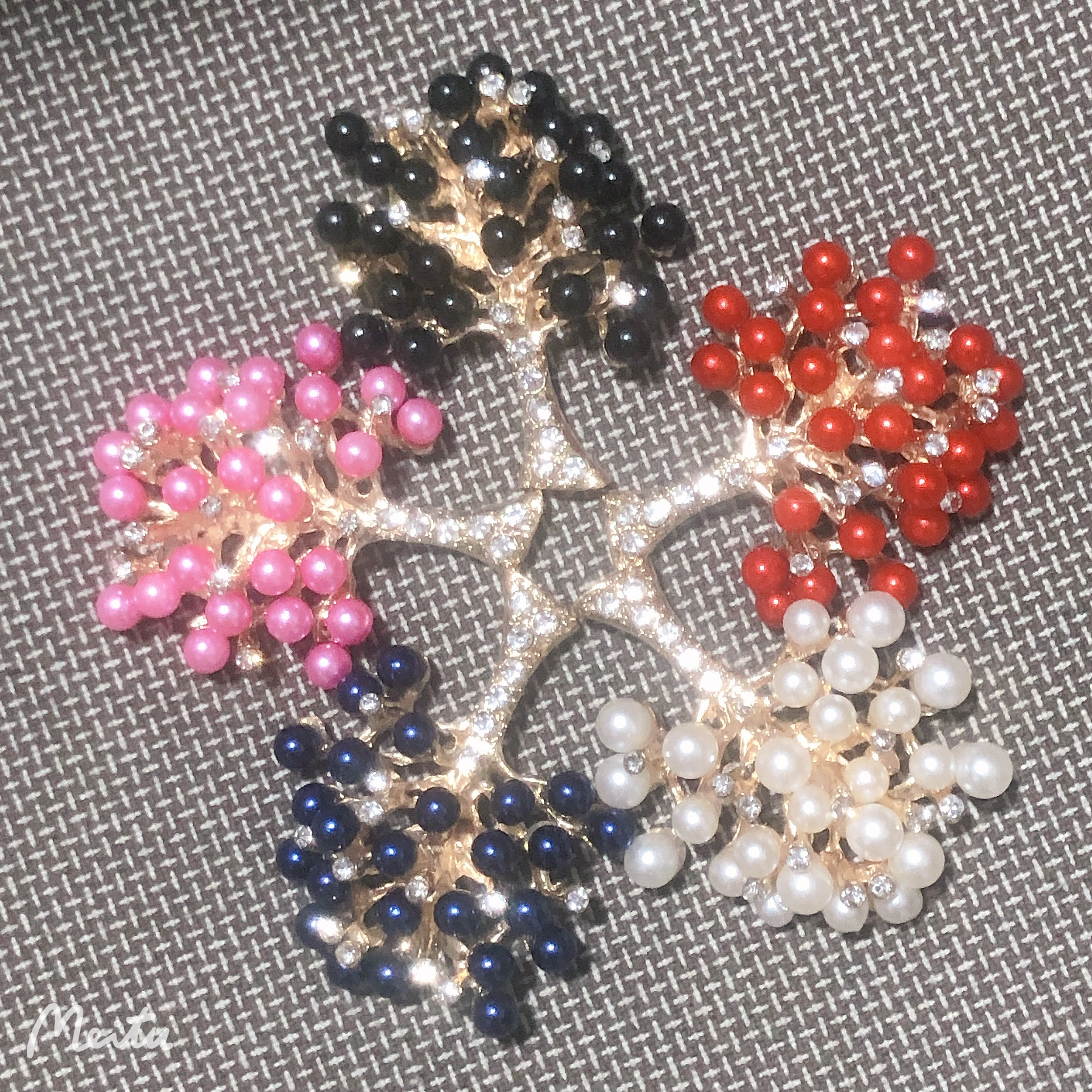 黑色珍珠发财树详情图8