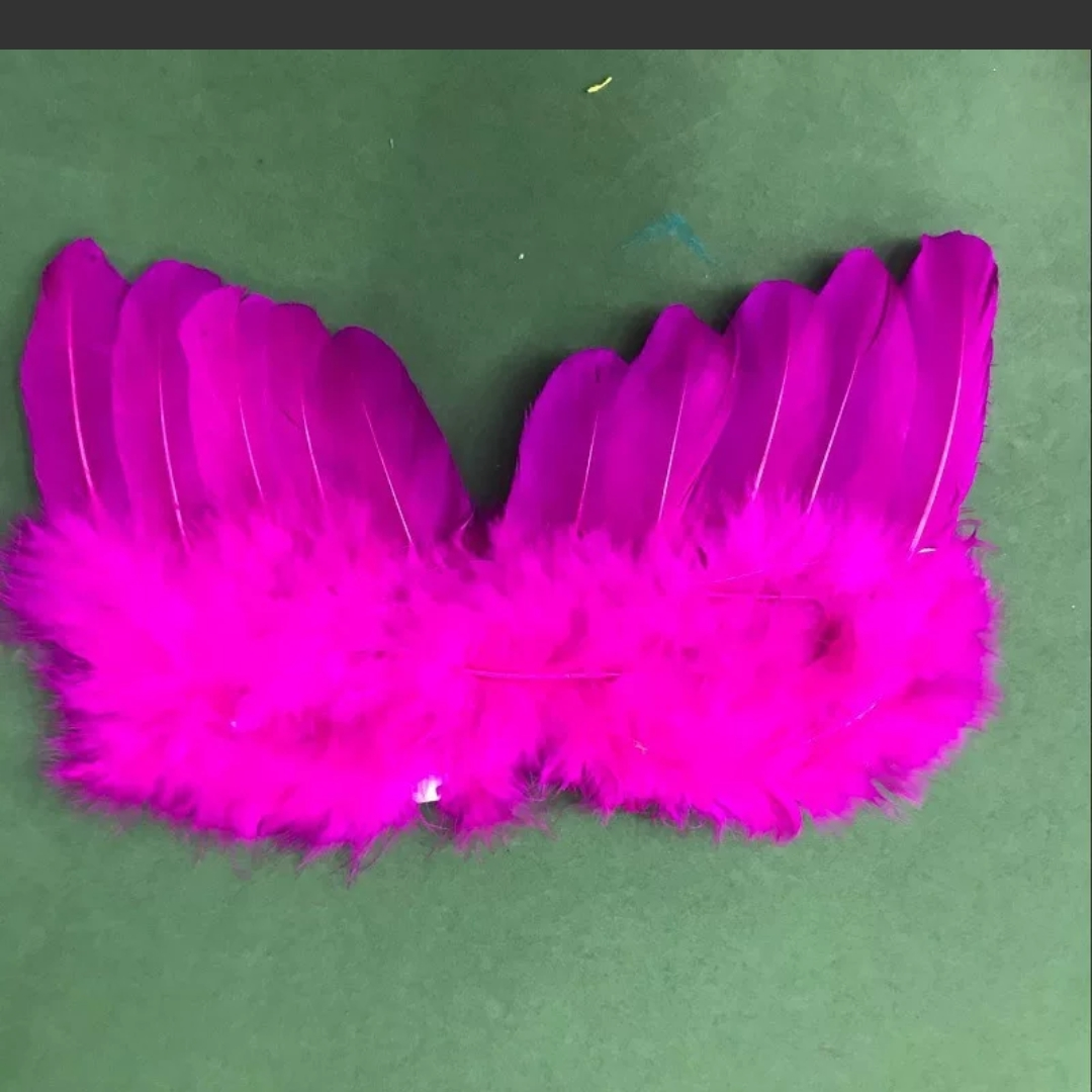 Angel feathers wings extra small plum red