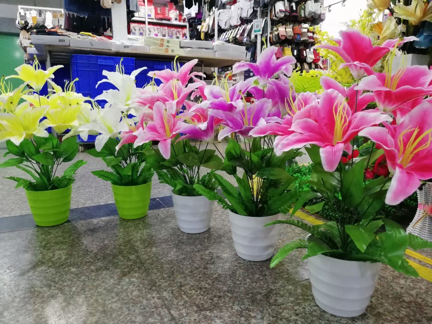 Lily pot picking details Picture