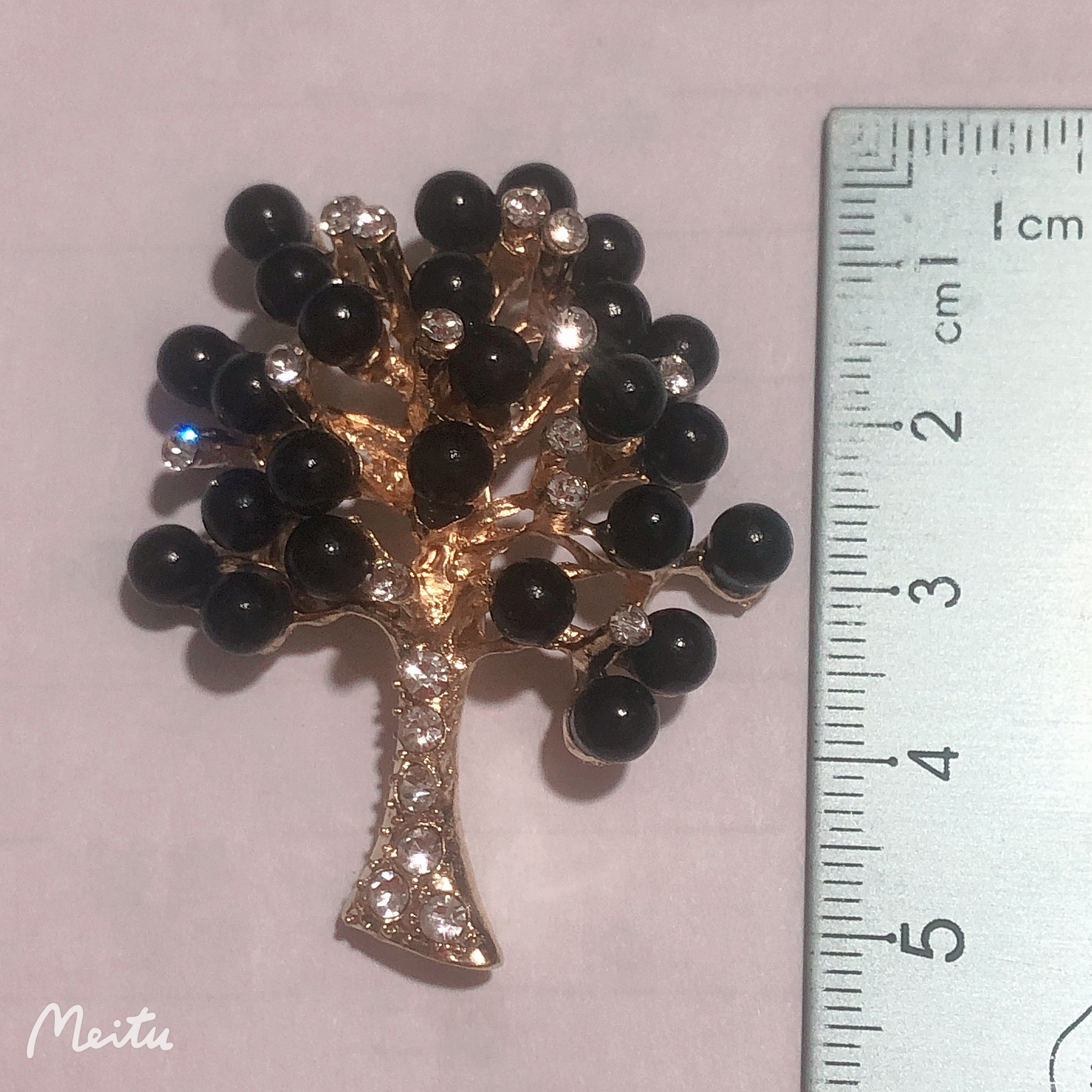 黑色珍珠发财树详情图6