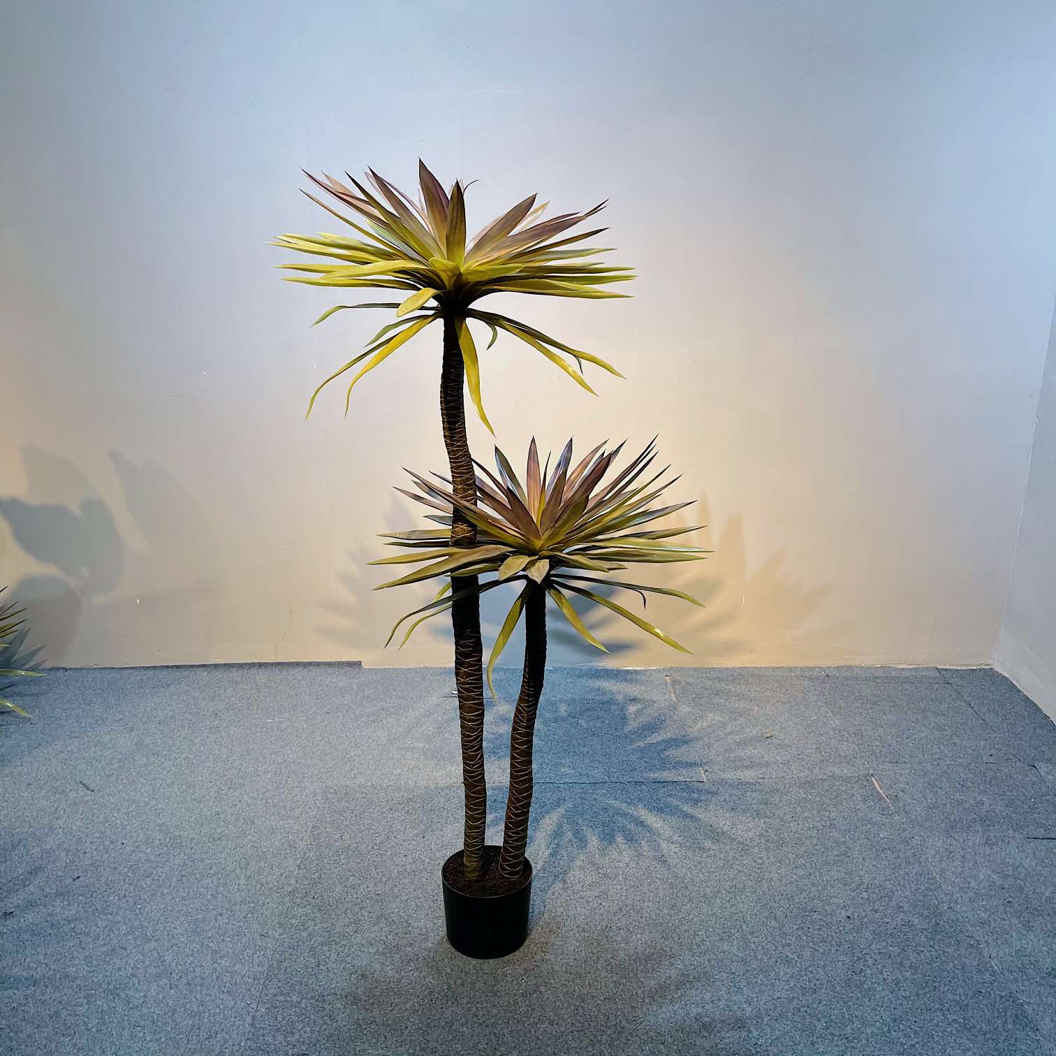 The popular online hit simulation tree, the simulation Dragon's Blood tree detail image 5