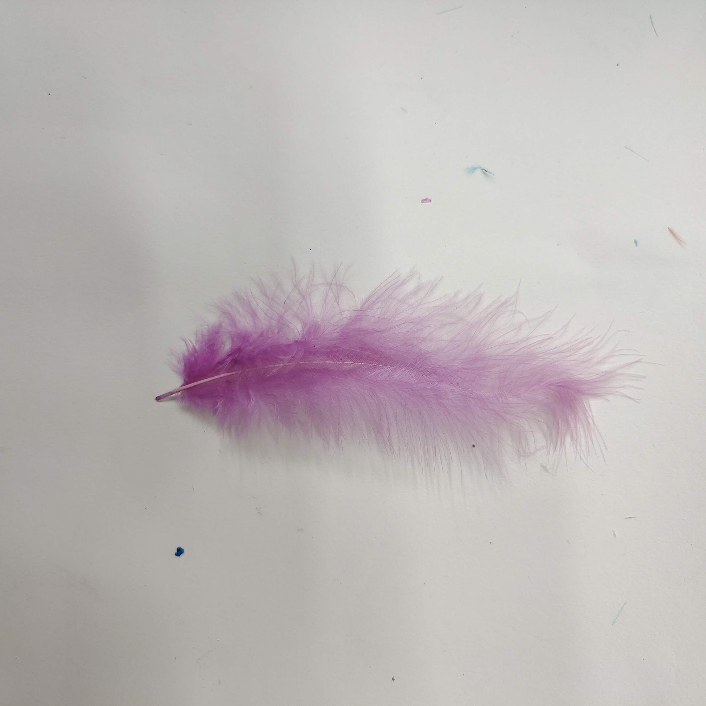 Turkey feather pointed tail feather light purple