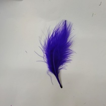 Turkey velvet feather royal blue,