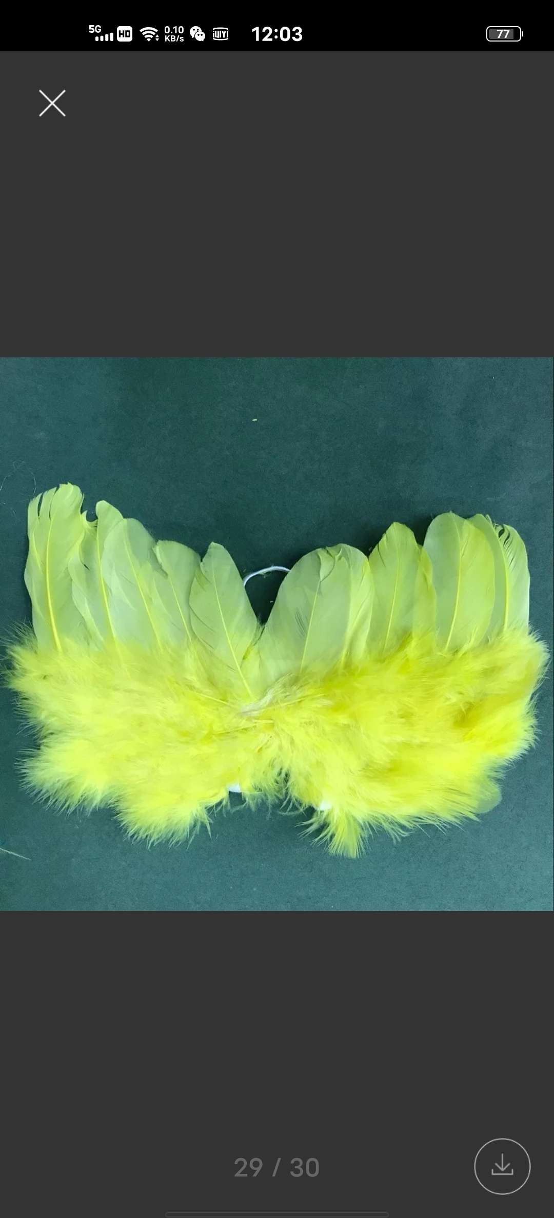 天使羽毛翅膀特小号深粉色白底实物图