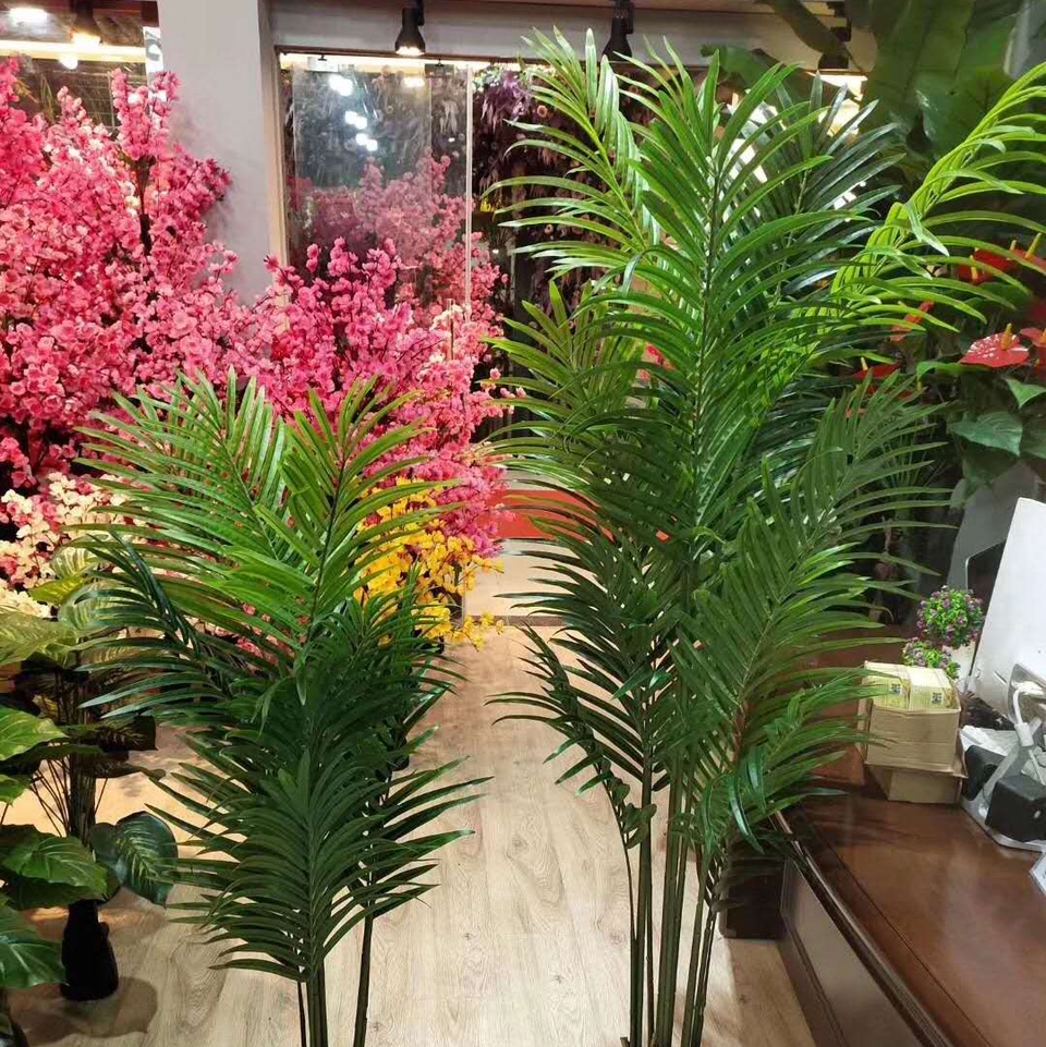 A 1.2-meter-tall tree