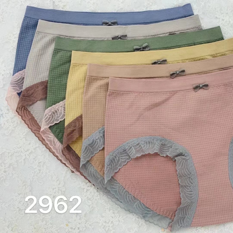 2962 panties for women