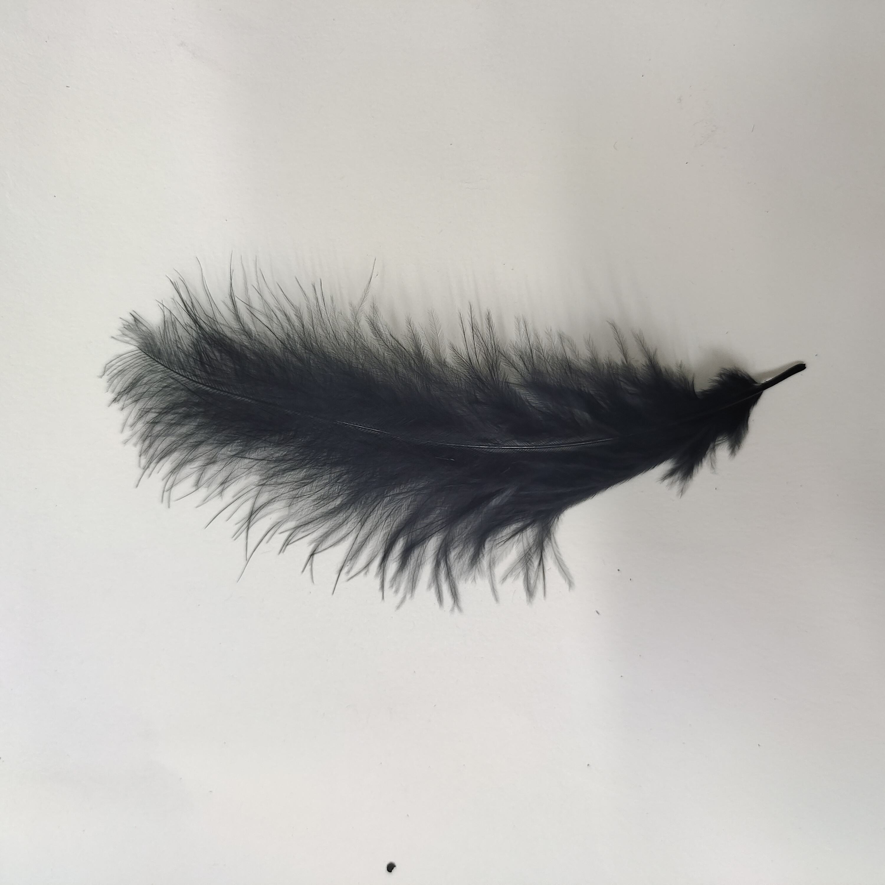 火鸡全绒羽毛篮黑色