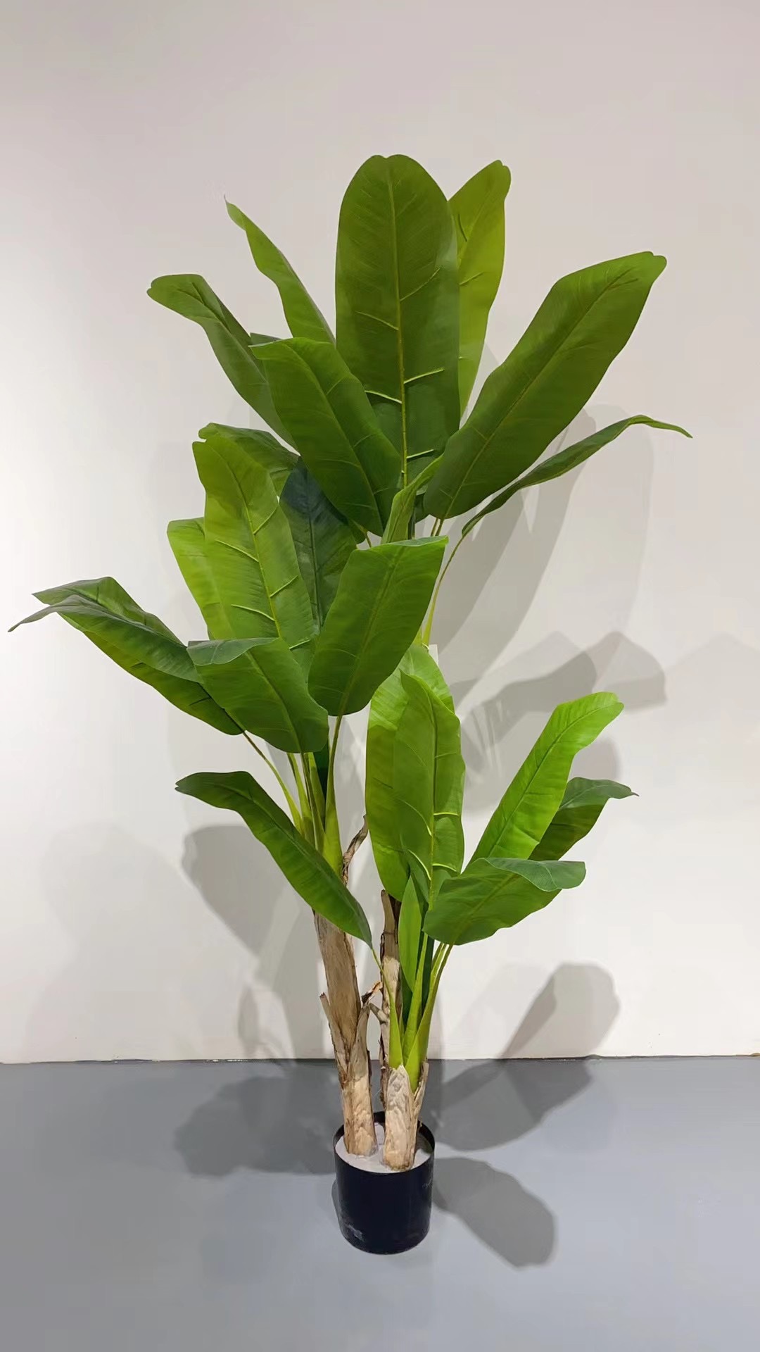The simulated canna lily, traveler's canna lily and big tree are all Internet celebrities and bestsellers Application Scenario