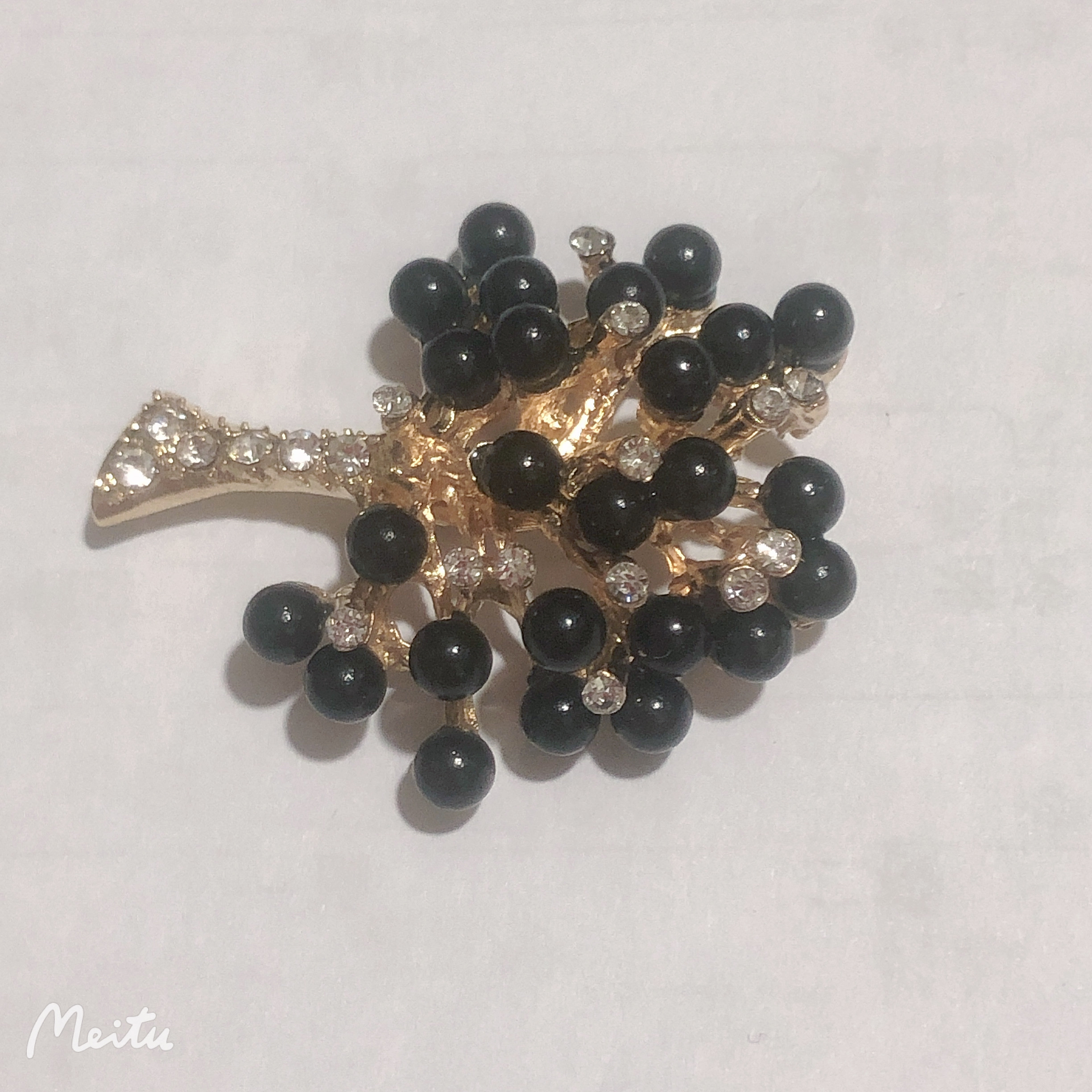 黑色珍珠发财树白底实物图