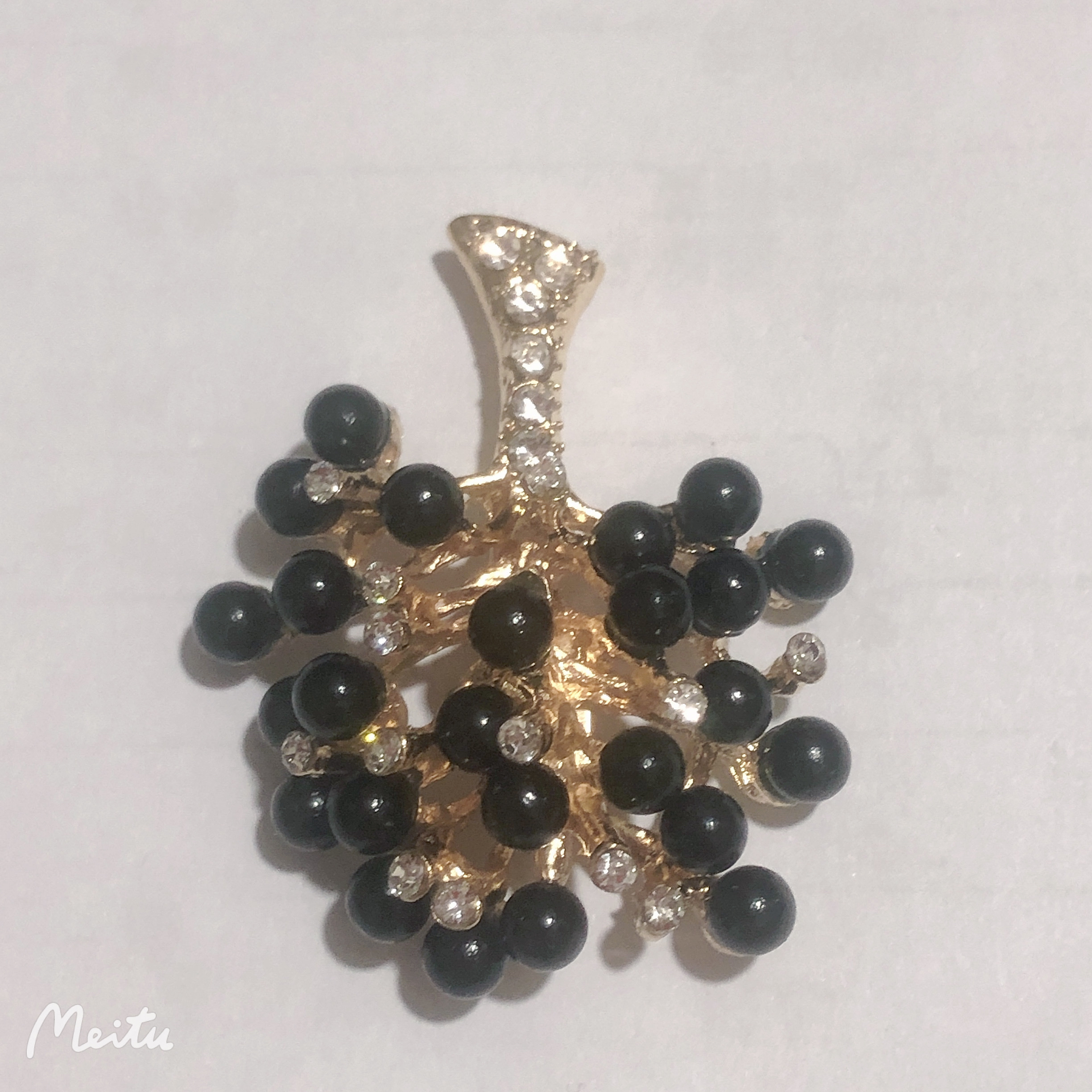 黑色珍珠发财树详情图5