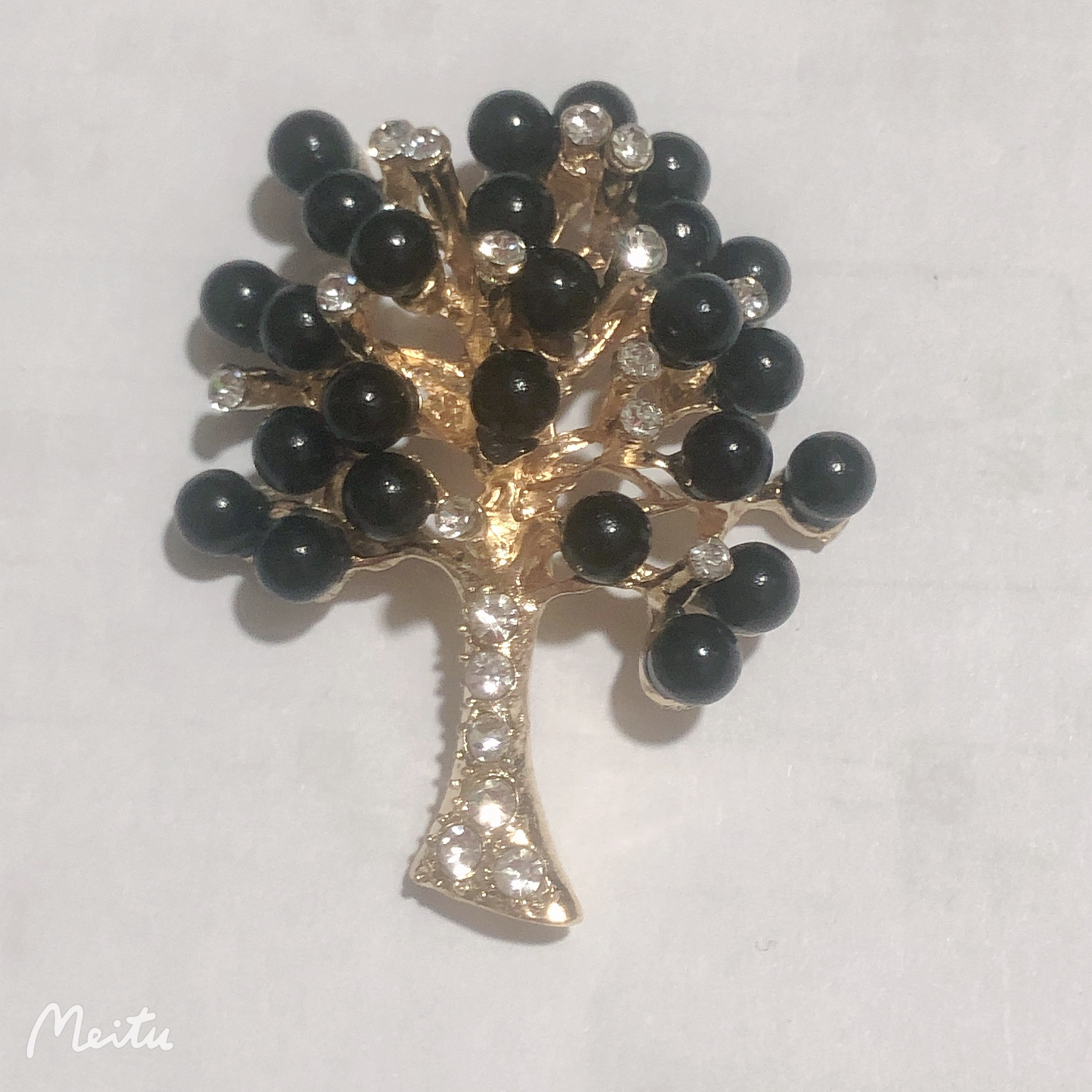 黑色珍珠发财树详情图3