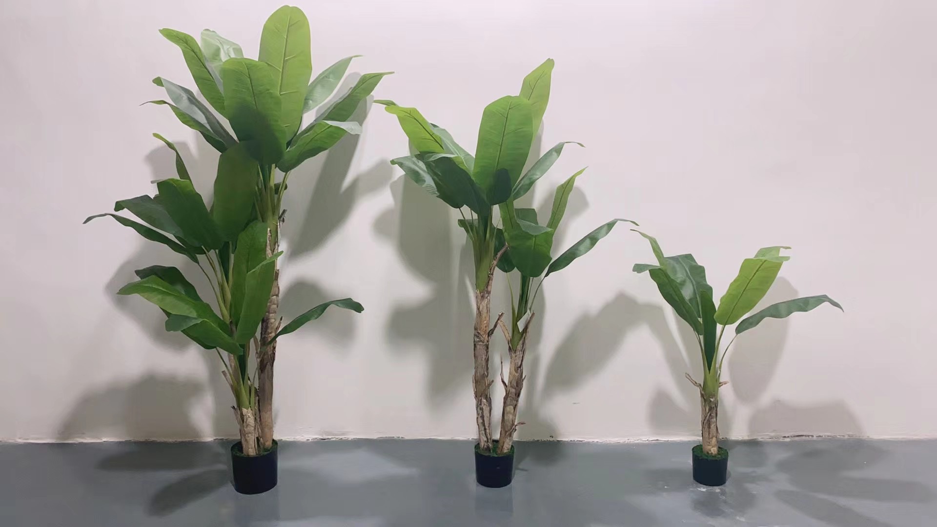 The simulated canna lily, traveler's canna lily and big tree are all Internet celebrities and bestsellers Item Picture