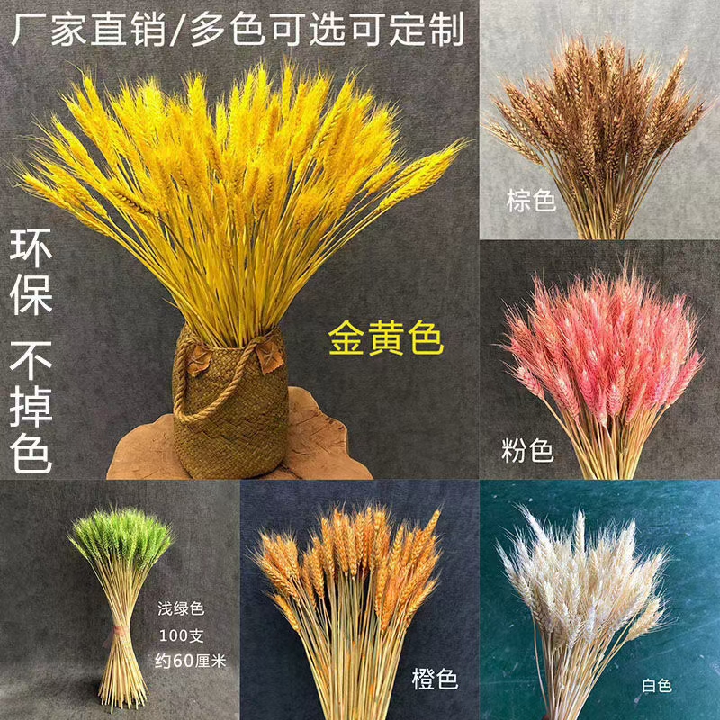 干小麦 天然 直接可以插花瓶 装饰 美观 永生系列 厂家直销 颜色多样                         详情图1