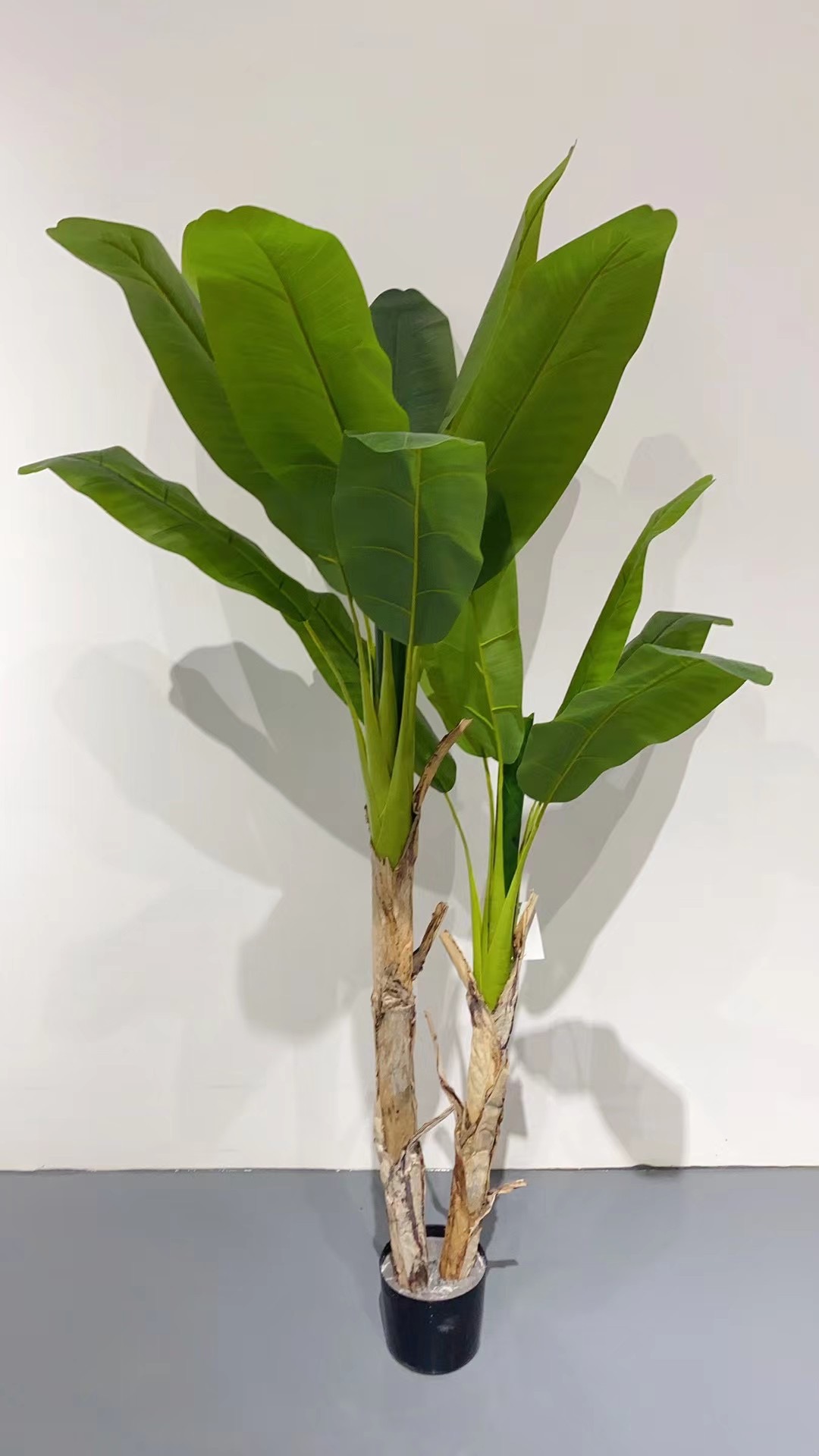 The simulated canna lily, traveler's canna lily and big tree are all Internet celebrities and bestsellers details Picture
