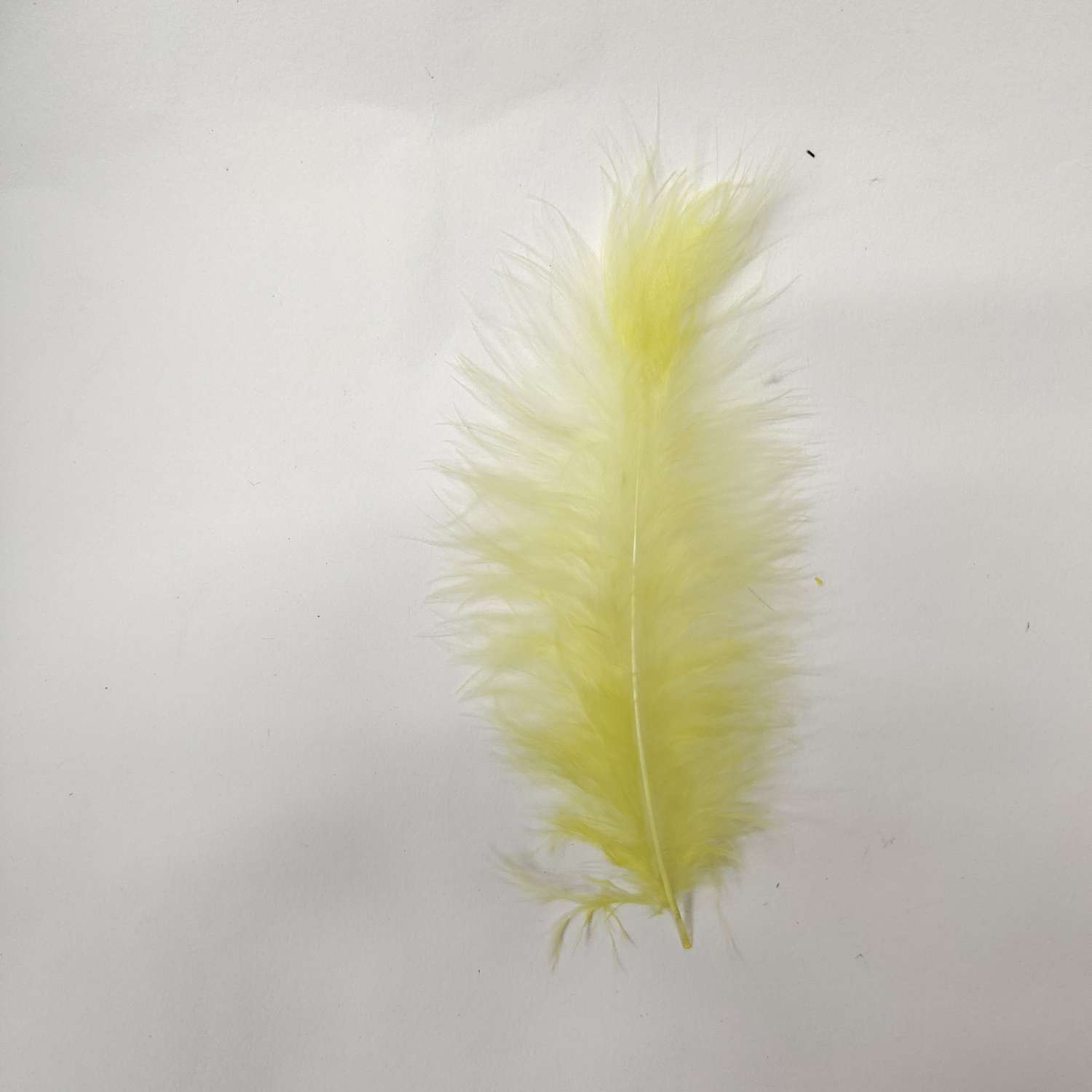 其他肉禽制品实物图