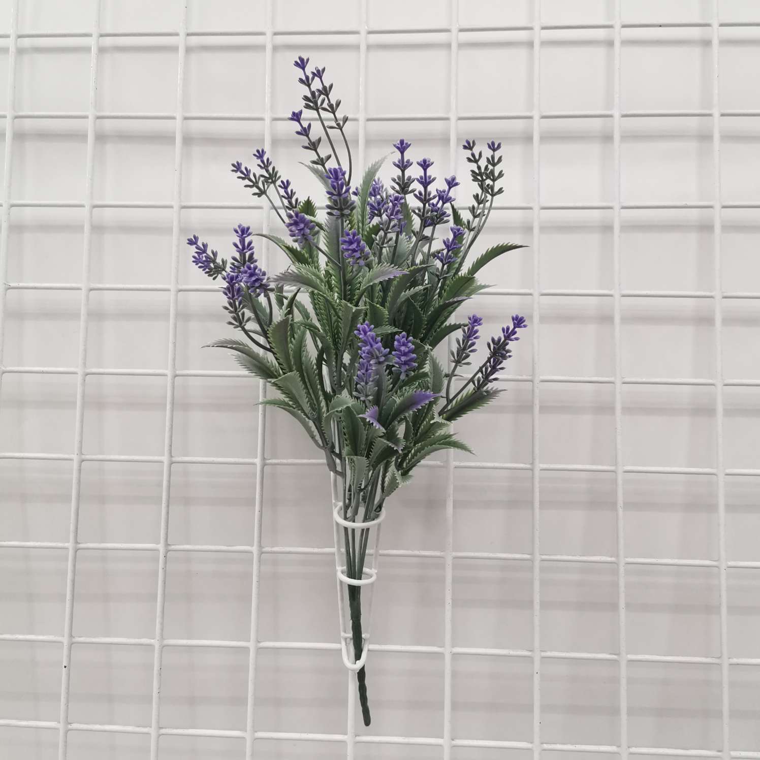 麦冬草四色细节图