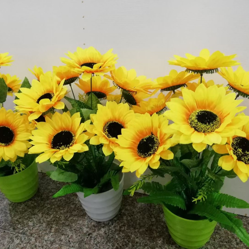Ten sunflowers