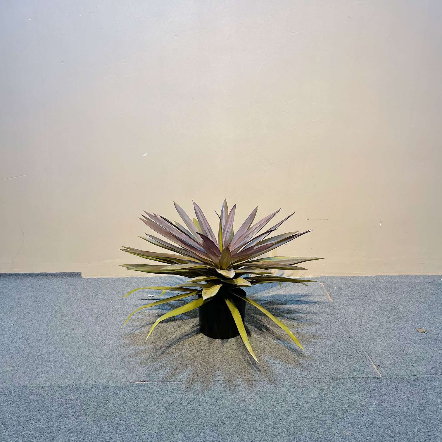 Simulation Dragon's Blood Tree-shaped scene matching magic tool Application Scenario