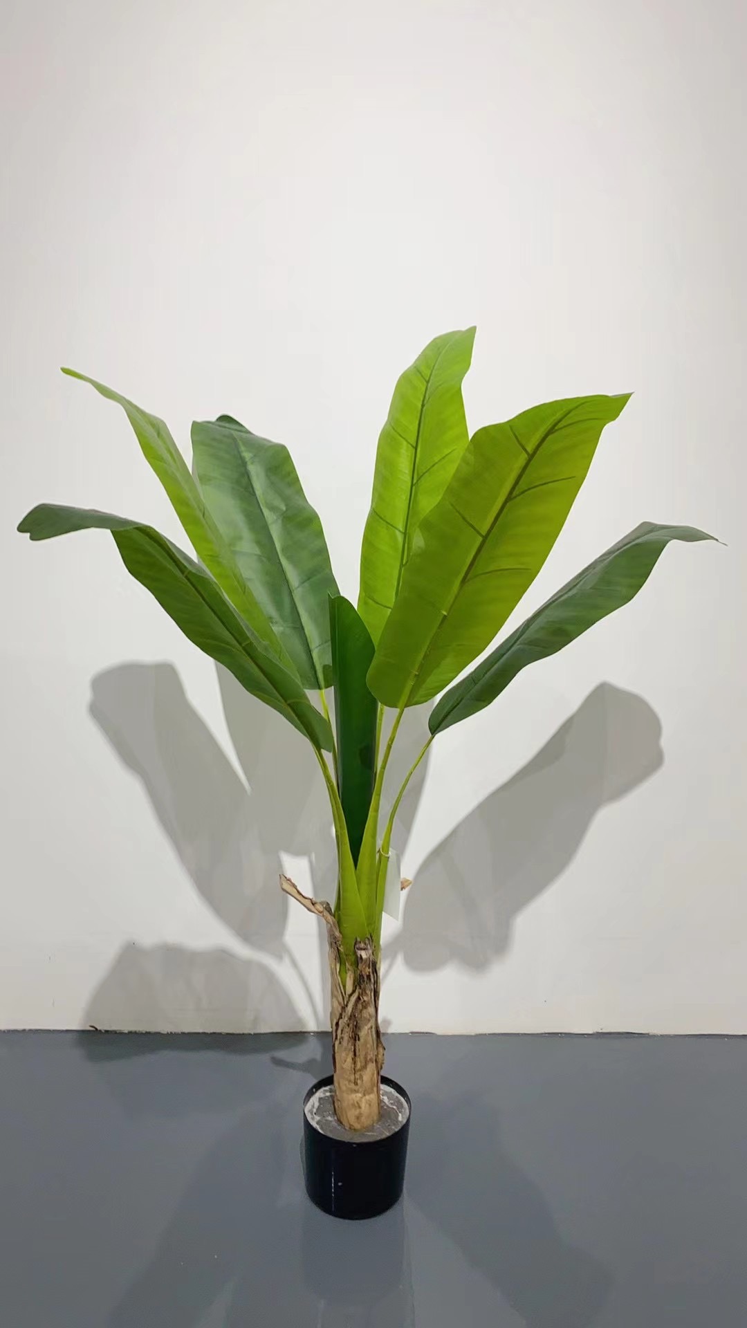 The simulated canna lily, traveler's canna lily and big tree are all Internet celebrities and bestsellers detail image 2