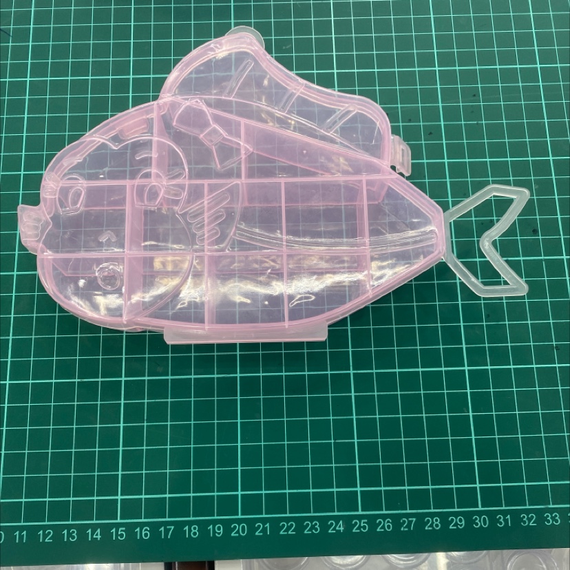 Square storage box for clownfish