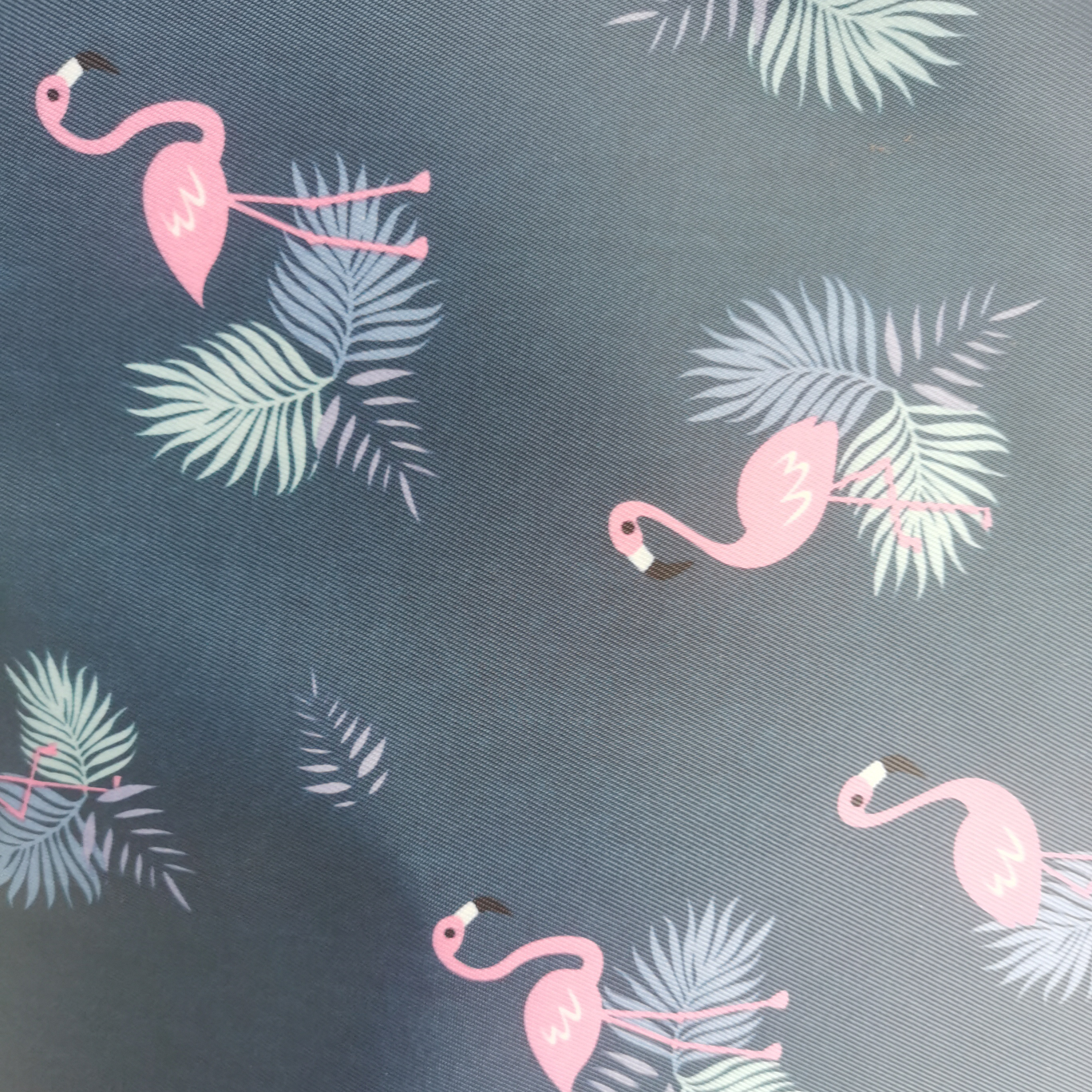 Flamingo with a Tibetan blue background