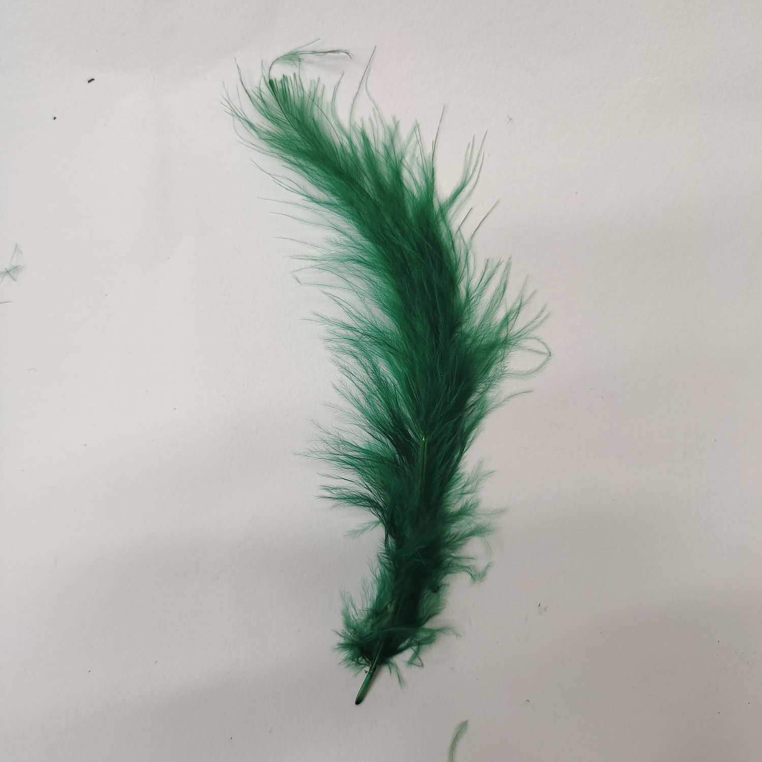 其他肉禽制品实物图