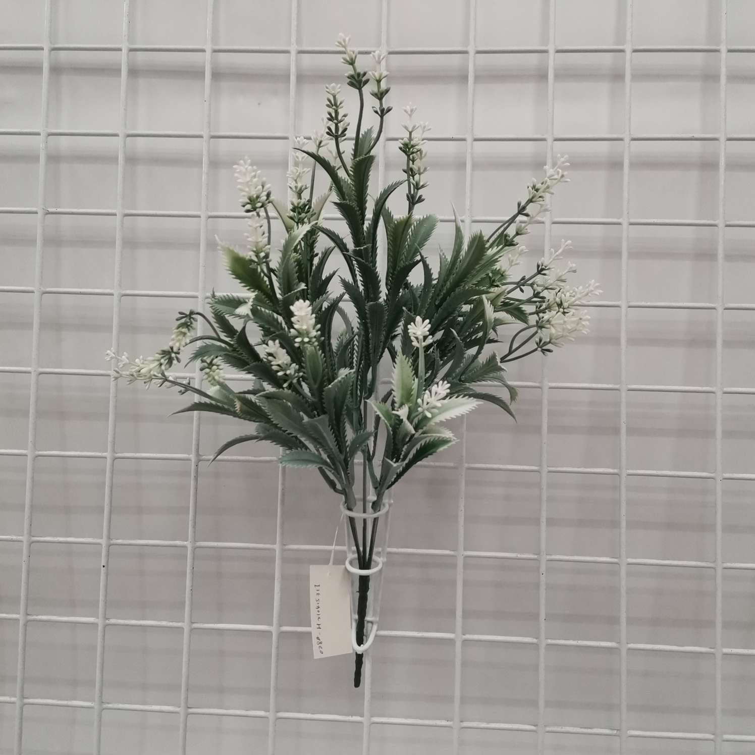 麦冬草四色产品图