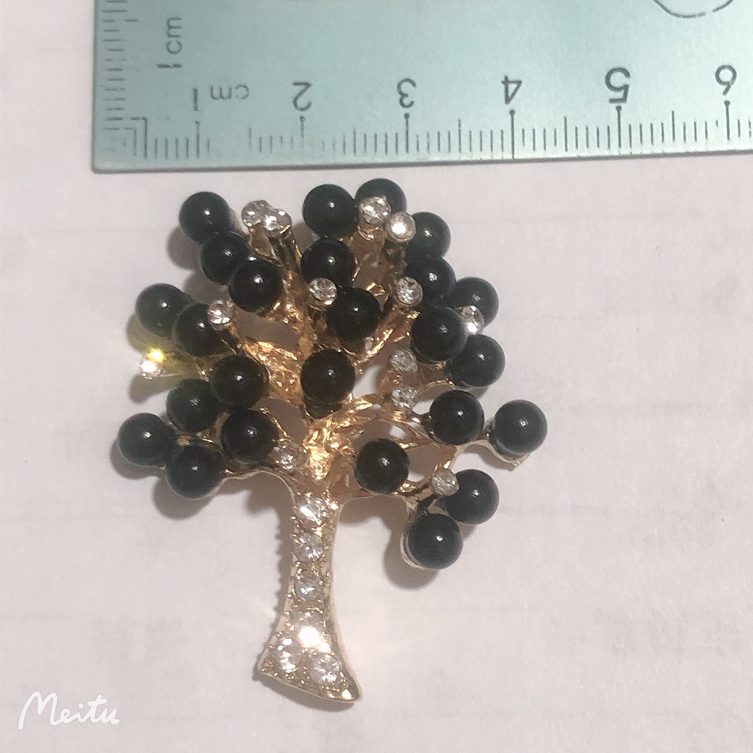 黑色珍珠发财树详情图7