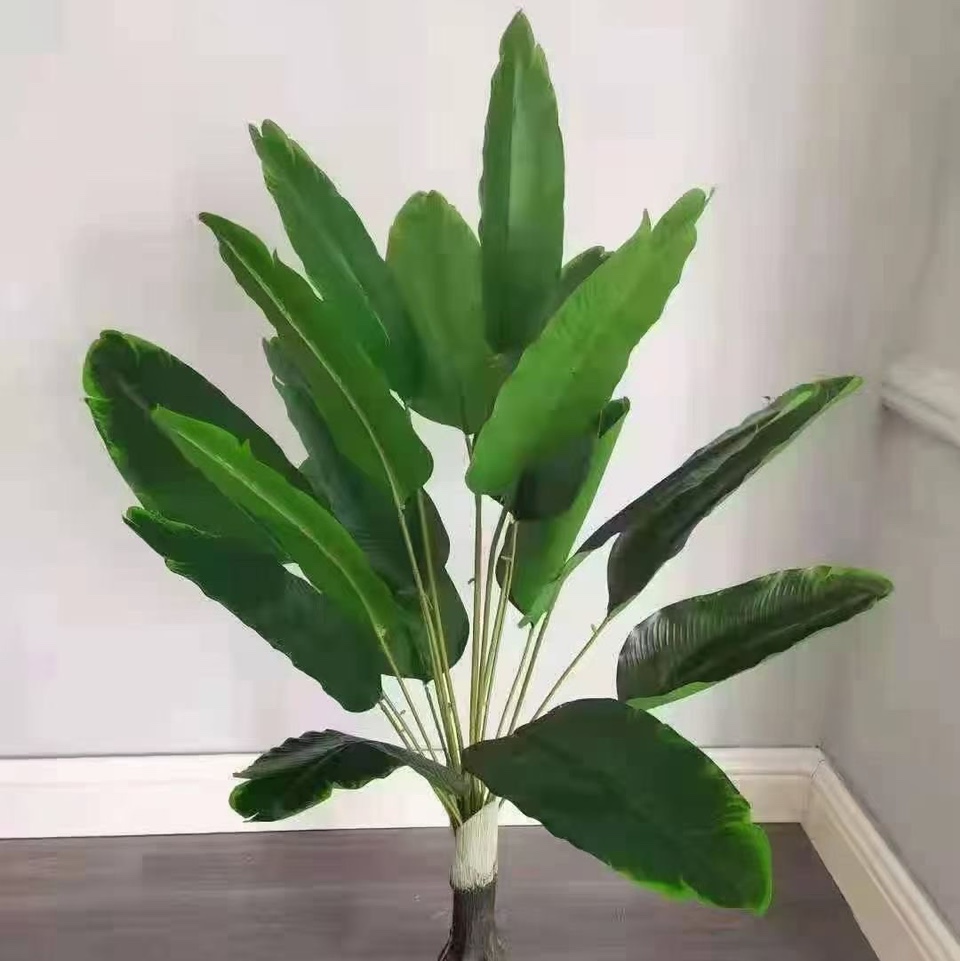 Banana leaf