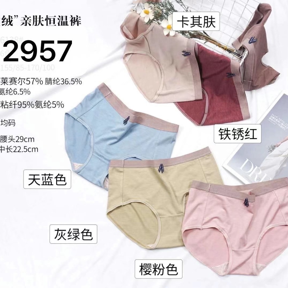 2957 panties for women
