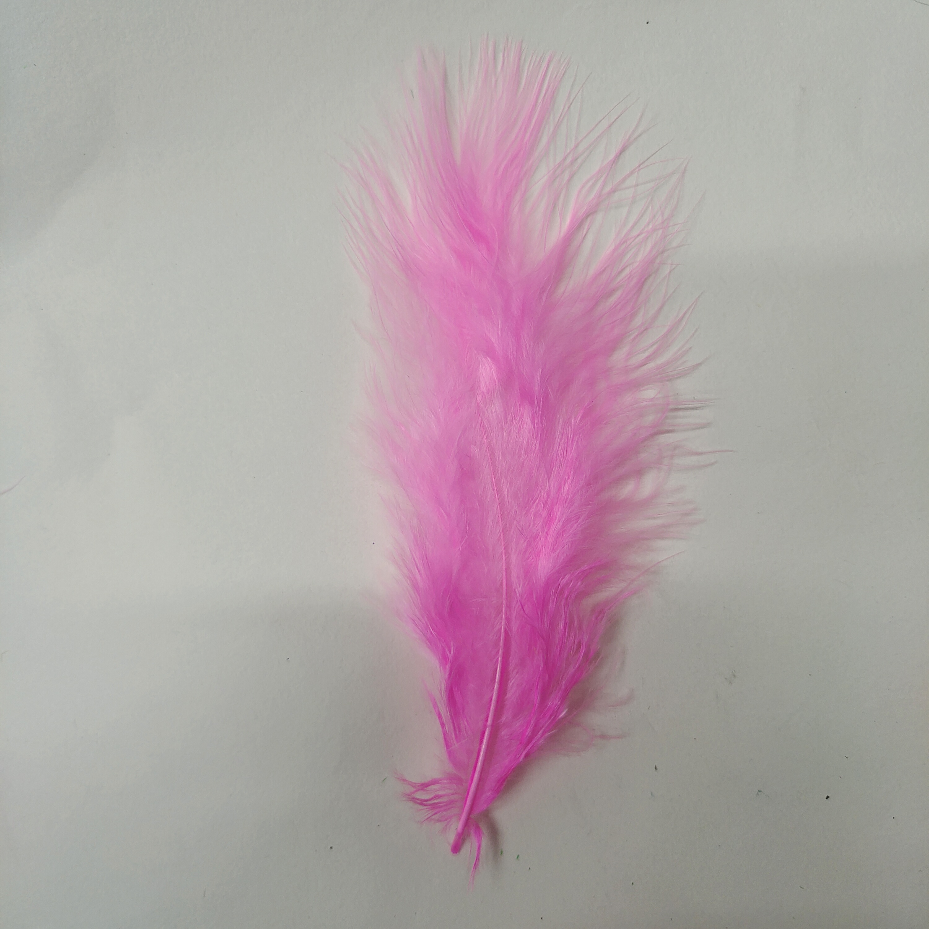 火鸡全绒羽毛桃红色