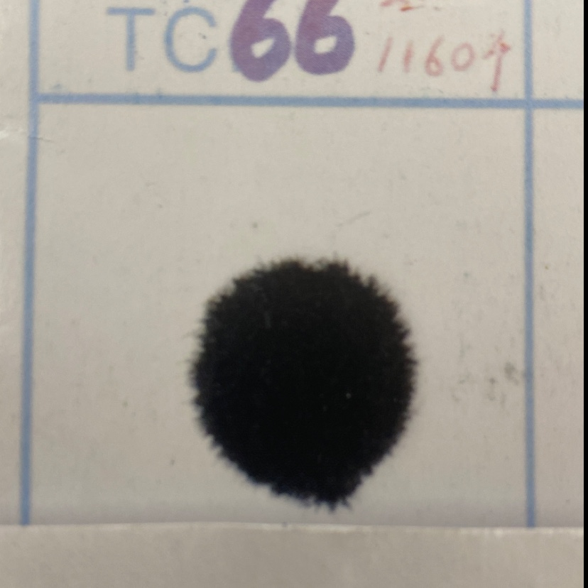 الفراء رقم 66