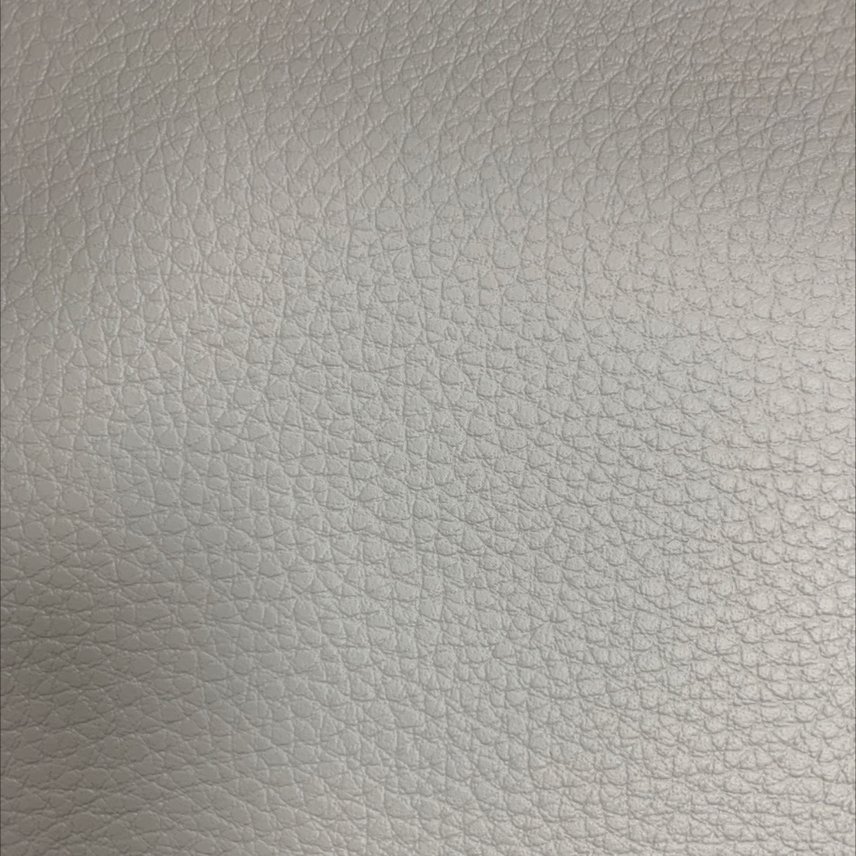 Ａ262