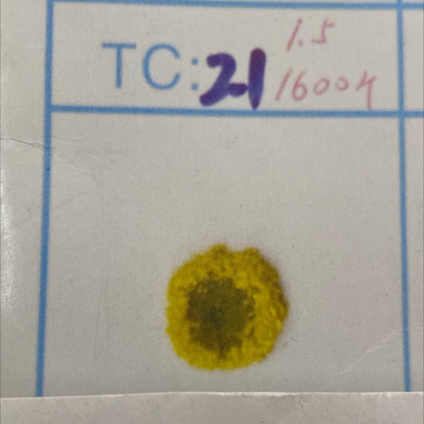21号毛芯