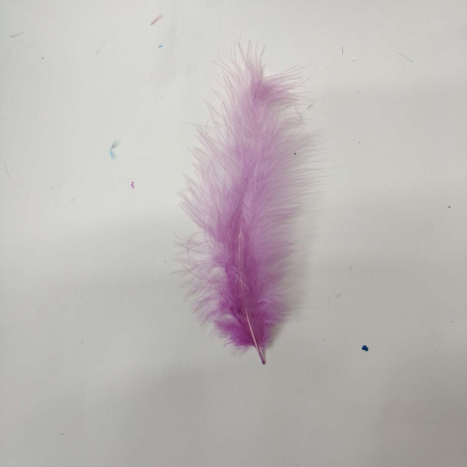 火鸡全绒羽毛大红色产品图