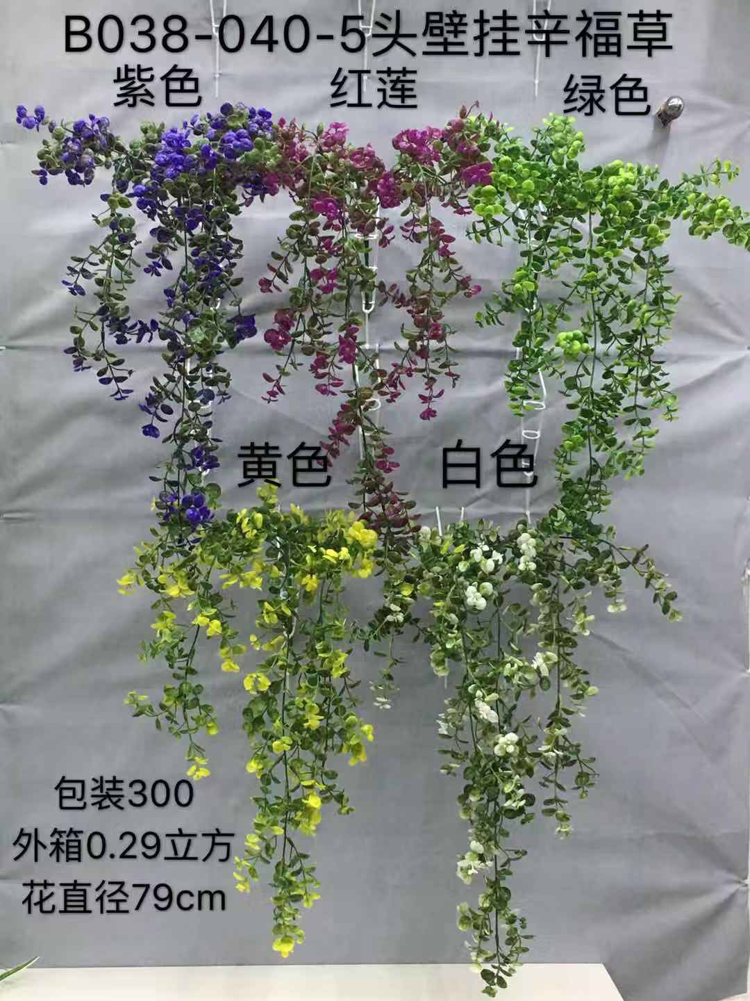 5头壁挂辛福草细节图
