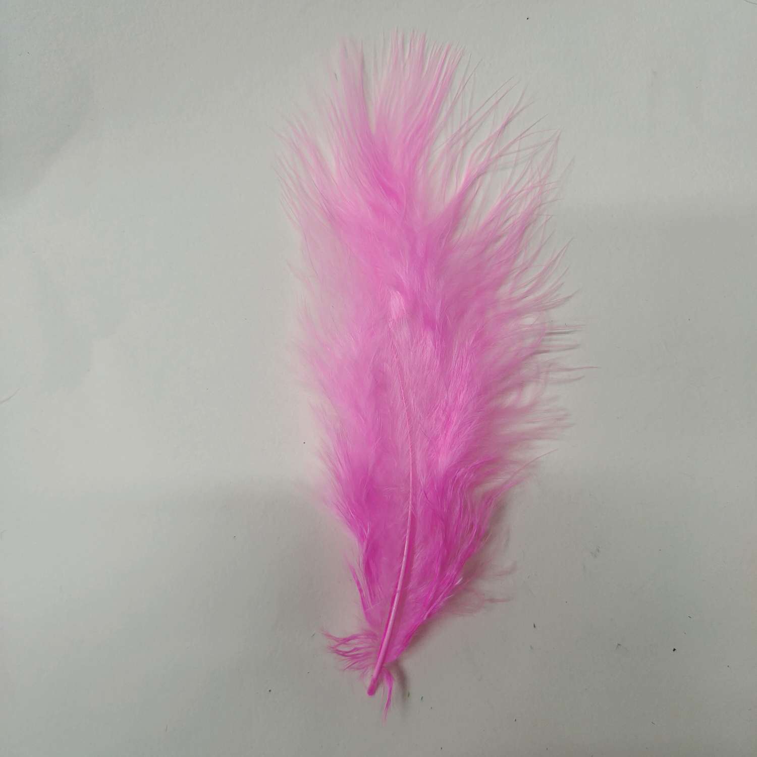 火鸡全绒羽毛浅梅红色白底实物图