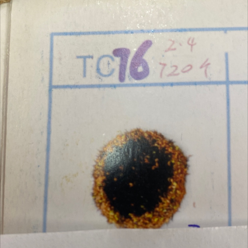 الفراء رقم 76